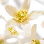 Nuxe Prodigieuse Neroli Parfum 50ml