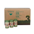 Biokera Traitement Cheveux Gras Intensif 6*10ml
